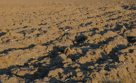 Guideline values for PFAS in soils